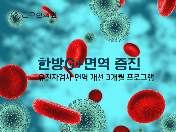 한G+면역 프로그램 면역 개선 3개월