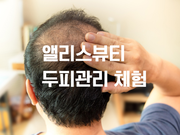 앨리스뷰티 두피관리 체험권