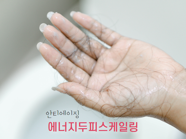 웨이브 두피스케일링