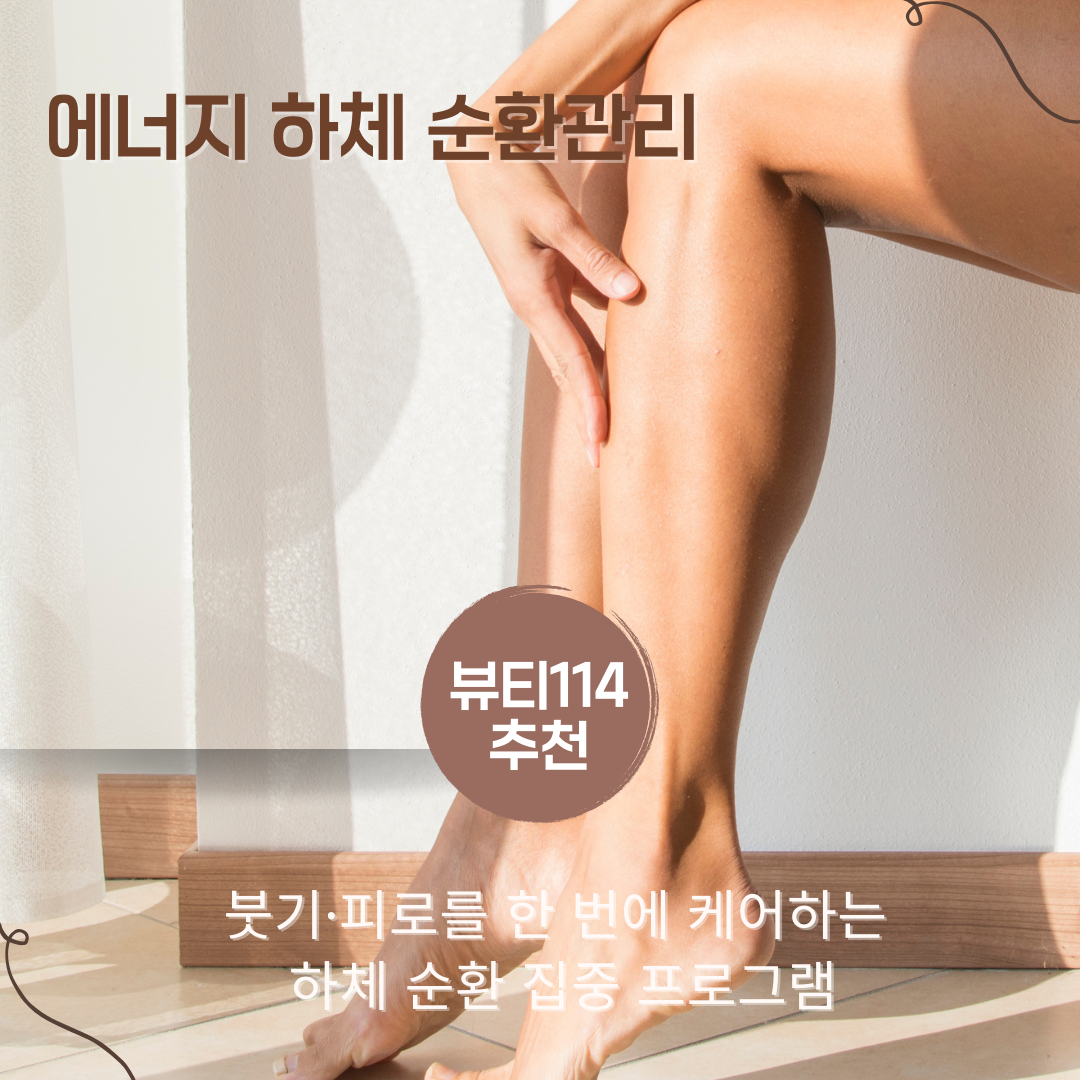 에너지 하체 순환관리