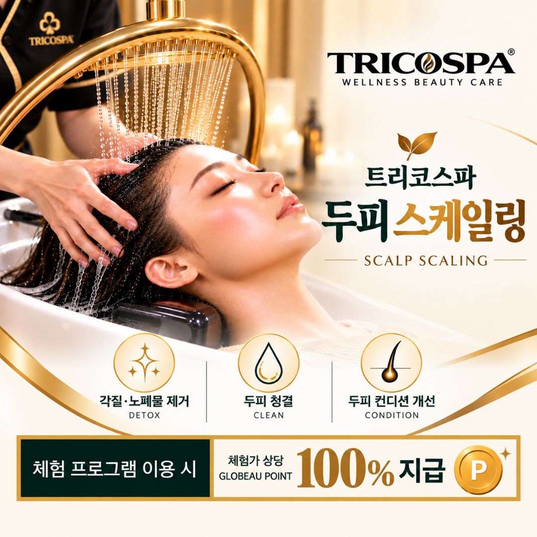 웰니스 두피 스케일링
